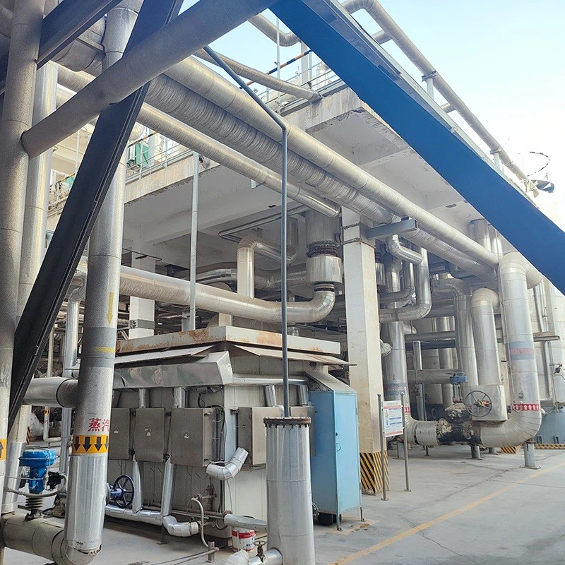 Caustic Soda Plant Caustic Soda Plant