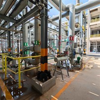 Klór alkáli növényi folyamat